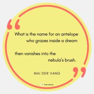 "What is the name for an antelope           who grazes inside a dream  then vanishes into the                           nebulaâ€™s brush." --Mai Der Vang